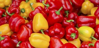 Выращиваем перец в теплице