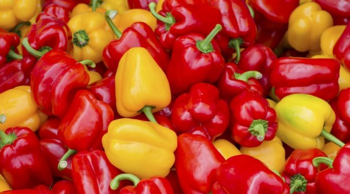 Выращиваем перец в теплице