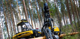 Причины вырубки деревьев