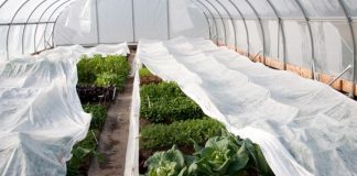 Назначение агроволокна