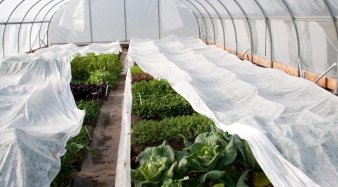 Назначение агроволокна