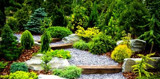 Ландшафтный дизайнер нужен каждому участку: дизайн и стили