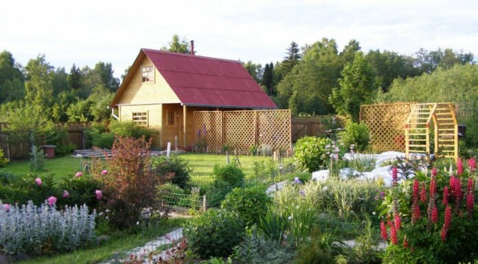 Особенности сайта для дачников