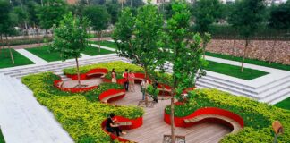 Покупка по доступным ценам разных видов растений от компании Версаль