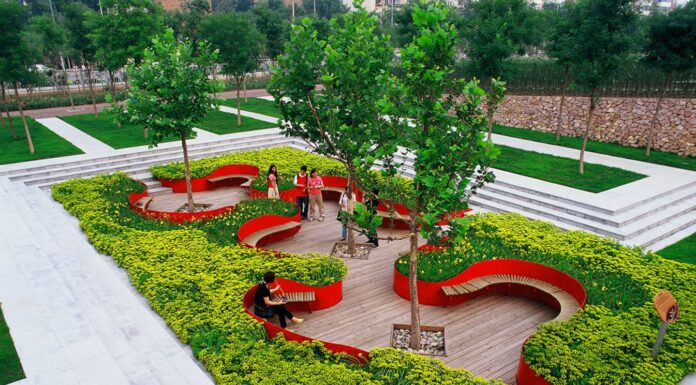 Покупка по доступным ценам разных видов растений от компании Версаль