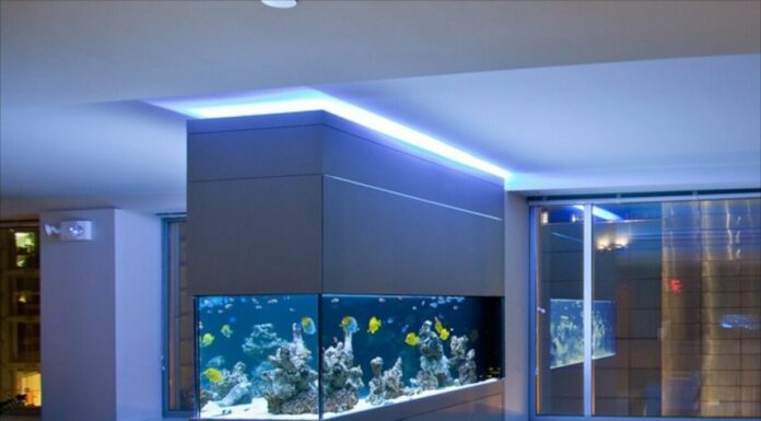 Как можно установить аквариум в интерьере дома: интегрированная система, обычный метод