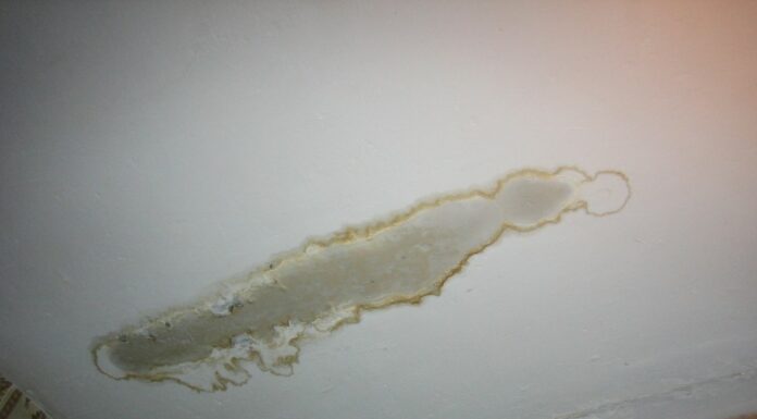 Как заделать ржавчину на потолке. Как разрезать швы между плитами перекрытия