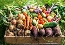 Какие овощи выращивать проще всего?