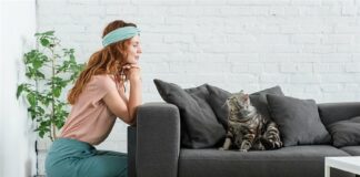 Что следует знать при выборе дивана