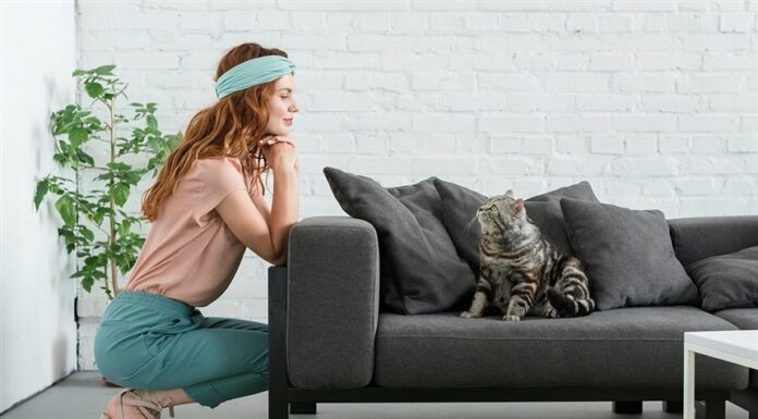 Что следует знать при выборе дивана