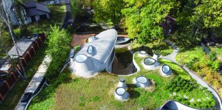 Особенности озеленения крыши: виды зеленой кровли