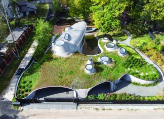 Особенности озеленения крыши: виды зеленой кровли