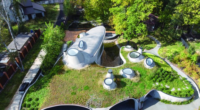 Особенности озеленения крыши: виды зеленой кровли