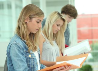 Подготовка к ЕГЭ с нуля: пошаговый план, основные этапы, полезные советы