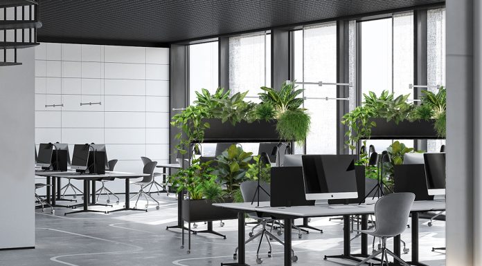 Фитодизайн в ландшафте и в офисе от профессионалов