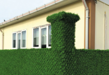 Чем хороши декоративные зеленые заборы, продающиеся в Каменском