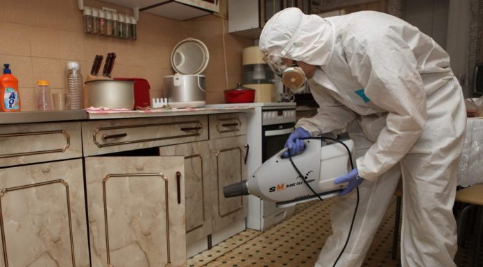 Опасность наличия клопов и тараканов в квартире