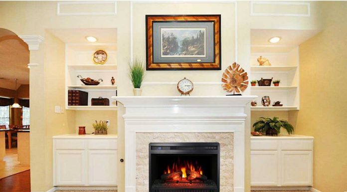 Чем отличаются электрокамины и биокамины от обыкновенных на дровах