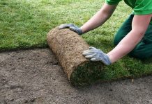 Где заказать укладку рулонного газона: правильная укладка газона, советы