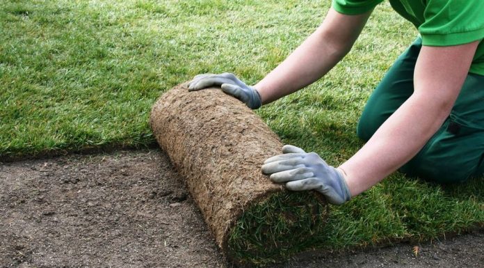 Где заказать укладку рулонного газона: правильная укладка газона, советы