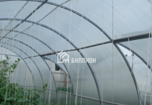 Теплицы из поликарбоната: почему они выгодны?