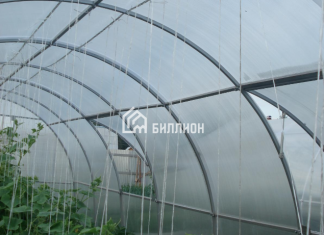 Теплицы из поликарбоната: почему они выгодны?