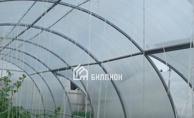 Теплицы из поликарбоната: почему они выгодны?