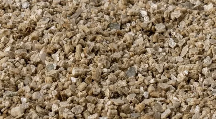 Чем полезен растениям вермикулит: как именно его применяют