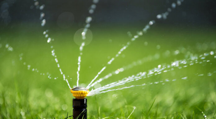 Форсунки для систем автополива: виды и особенности