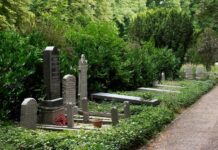 Памятники и надгробия: руководство для родственников по выбору, дизайну и установке. Ключевые аспекты создания достойного мемориала