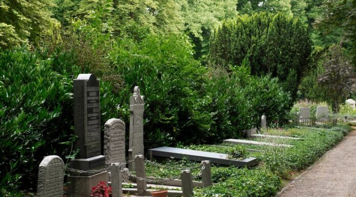 Памятники и надгробия: руководство для родственников по выбору, дизайну и установке. Ключевые аспекты создания достойного мемориала