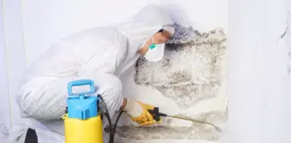 Настоящая опасность плесени в жилом помещении