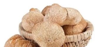 Ежевик гребенчатый свойства и его лечебные преимущества для здоровья