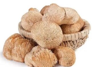 Ежевик гребенчатый свойства и его лечебные преимущества для здоровья