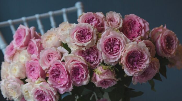 Букеты из кустовых роз с доставкой: профессиональный подбор композиций для особенных моментов жизни