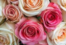 Подарите радость: букеты на день рождения от AzaliaNow