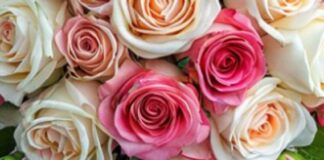 Подарите радость: букеты на день рождения от AzaliaNow