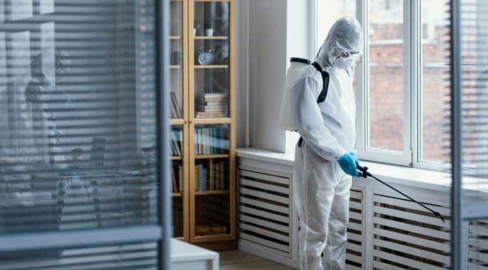 Термическая обработка: как высокая температура помогает избавиться от клопов