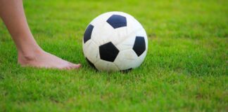 Рулонный газон: идеальное решение для быстрого озеленения