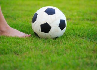 Рулонный газон: идеальное решение для быстрого озеленения