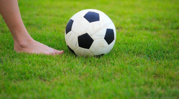 Рулонный газон: идеальное решение для быстрого озеленения