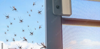 Комплектующие для москитных сеток: основные элементы и их назначение