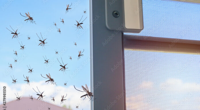 Комплектующие для москитных сеток: основные элементы и их назначение