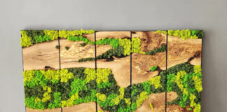 Панно из мха в каждый дом