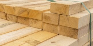 Плюсы и особенности древесины хвойных пород