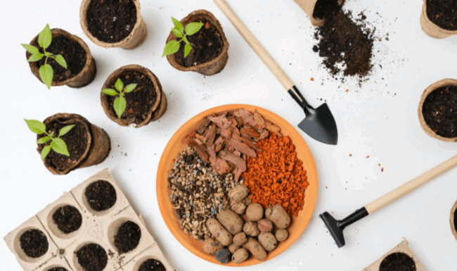 Плюсы покупки семян овощей оптом: экономия и качество