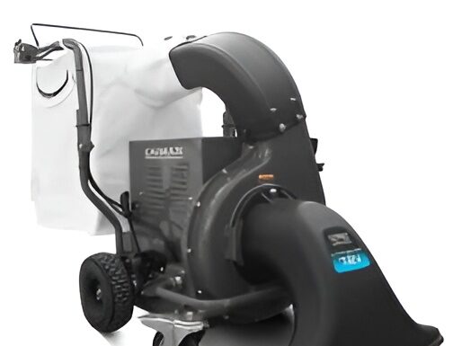 Что такое аккумуляторная воздуходувка: плюсы и особенности устройства